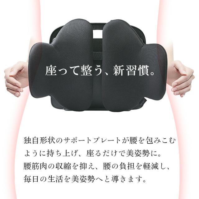 ボディカルテ 腰楽座サポートプレート クッション // 腰痛 事務 デスクワーク PC 疲労 姿勢 矯正 リラクゼーション 整う 椅子 取り付け 新社会人 オフィスワーク コジット_1
