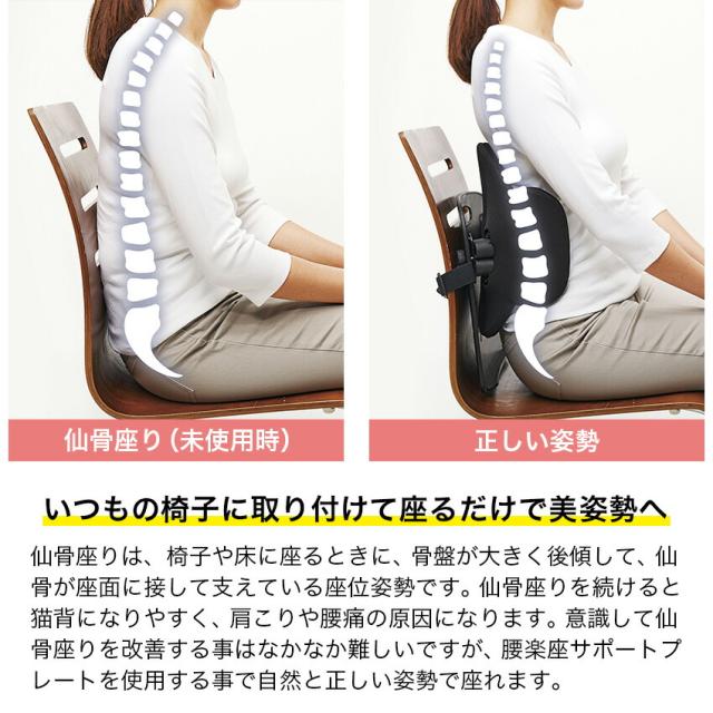 ボディカルテ 腰楽座サポートプレート クッション // 腰痛 事務 デスクワーク PC 疲労 姿勢 矯正 リラクゼーション 整う 椅子 取り付け 新社会人 オフィスワーク コジット_4
