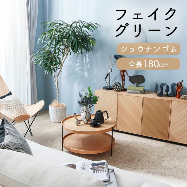 ショウナンゴム 全長1.8m glp1516 // ポピー 造花 インテリア リアル 本物そっくり 手入れ不要 リアルグリーン 緑 癒し ストレス軽減 植物　人工観葉植物 180cm