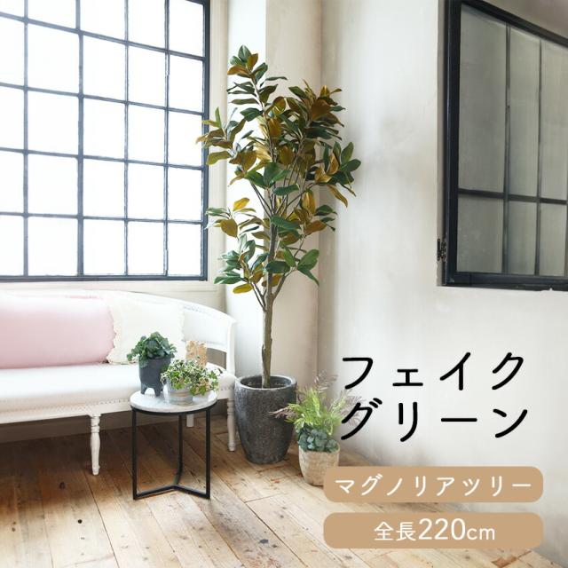 フェイクグリーン マグノリアツリー 全長 2.2m glp1541 // ポピー 造花 インテリア リアル 本物そっくり 手入れ不要 リアルグリーン 緑 癒し ストレス軽減 植物　人工観葉植物 220cm 24,827円