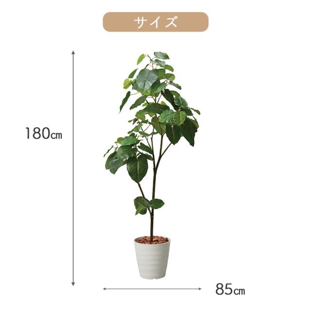 フェイクグリーン ウンベラータ 全長 1.8m glps1512 // ポピー 造花 インテリア リアル 本物そっくり 手入れ不要 リアルグリーン 緑 癒し ストレス軽減 植物　人工観葉植物 180cm