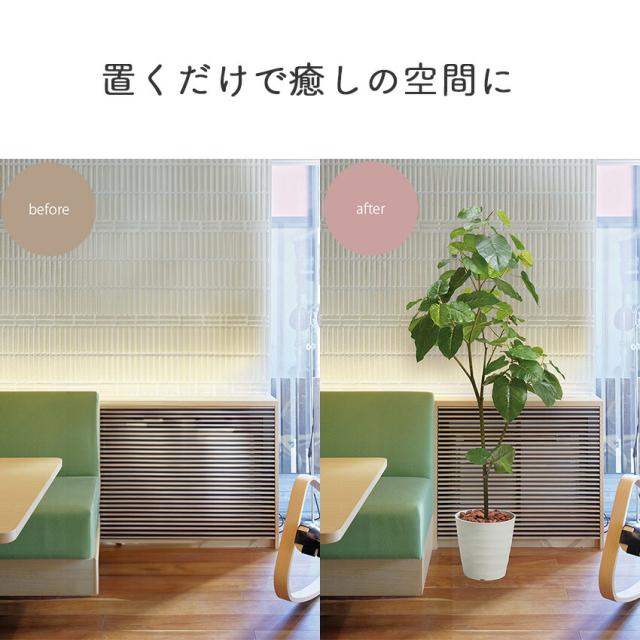 フェイクグリーン ウンベラータ 全長 1.8m glps1512 // ポピー 造花 インテリア リアル 本物そっくり 手入れ不要 リアルグリーン 緑 癒し ストレス軽減 植物　人工観葉植物 180cm