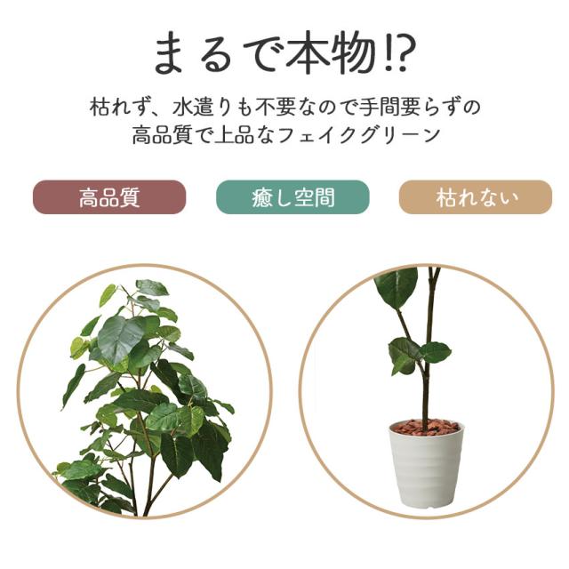 フェイクグリーン ウンベラータ 全長 1.8m glps1512 // ポピー 造花 インテリア リアル 本物そっくり 手入れ不要 リアルグリーン 緑 癒し ストレス軽減 植物　人工観葉植物 180cm