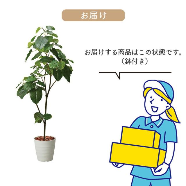 フェイクグリーン ウンベラータ 全長 1.8m glps1512 // ポピー 造花 インテリア リアル 本物そっくり 手入れ不要 リアルグリーン 緑 癒し ストレス軽減 植物　人工観葉植物 180cm