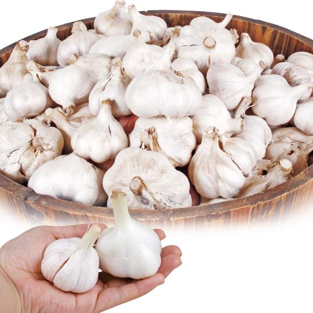 ニンニク 種球 嘉定ニンニク (種球) (中国産) 20kg