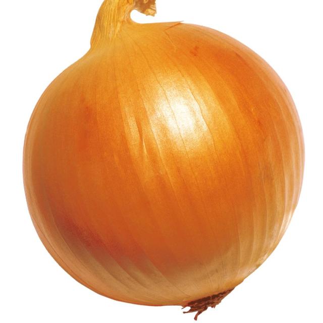 玉ねぎ苗 （中晩生） 旨玉グルメ 500本