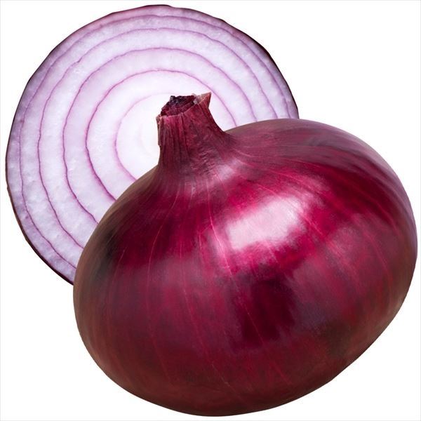 玉ねぎ苗 早生 500本 予約商品】玉ねぎ苗 500本束 ソニック 早生