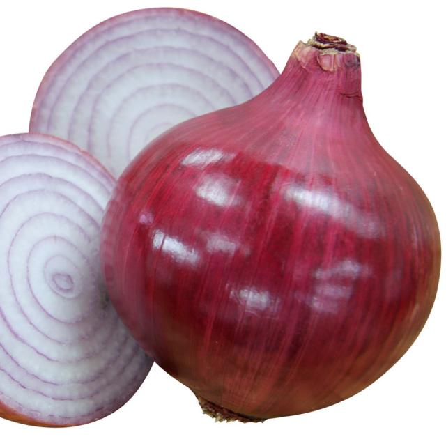 玉ねぎ苗（中生）赤たまサラダ 500本