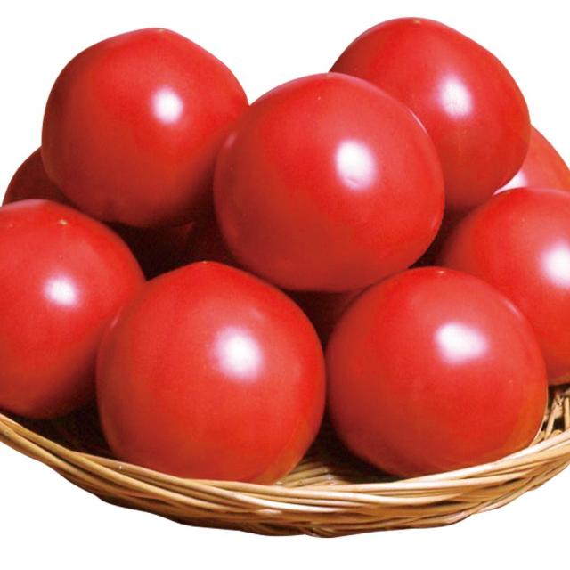 接木野菜苗 大玉トマト 接木F1パルト（農林水産省登録品種 登録名：SAKTOM011）PVP 12株