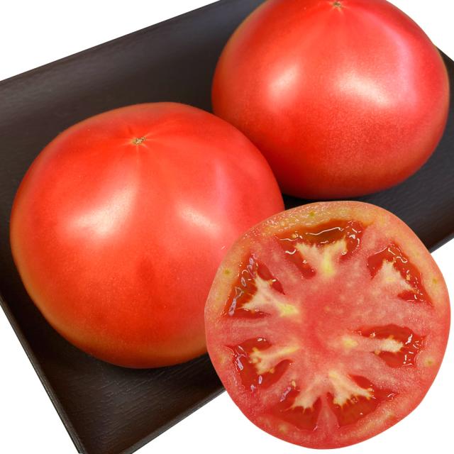 接木野菜苗 大玉トマト F1木熟麗玉 12株