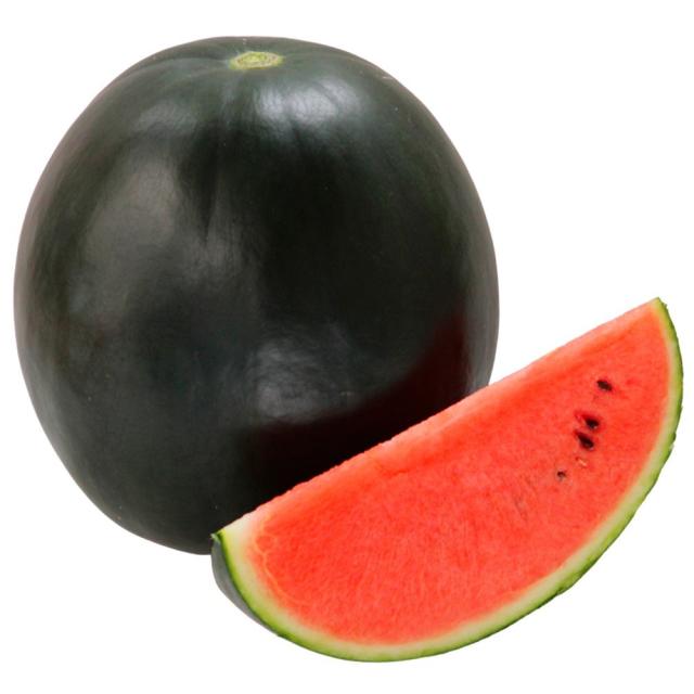 接木野菜苗 小玉スイカ 接木F1ひとりじめ（R)BonBonリッチ 12株