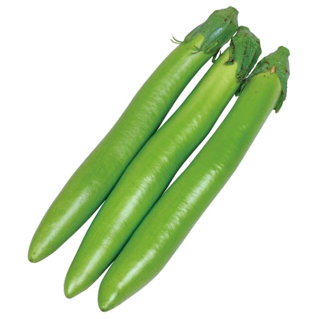 接木野菜苗 細長ナス 接木F1太刀みどり 28株