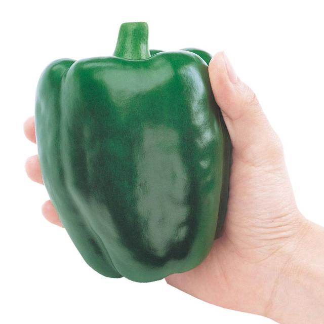 接木野菜苗 ピーマン F1デカチャンプ 12株