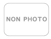 京商 1/43 スカイライン GT-R (R33) LM Limited チャンピオンブルー