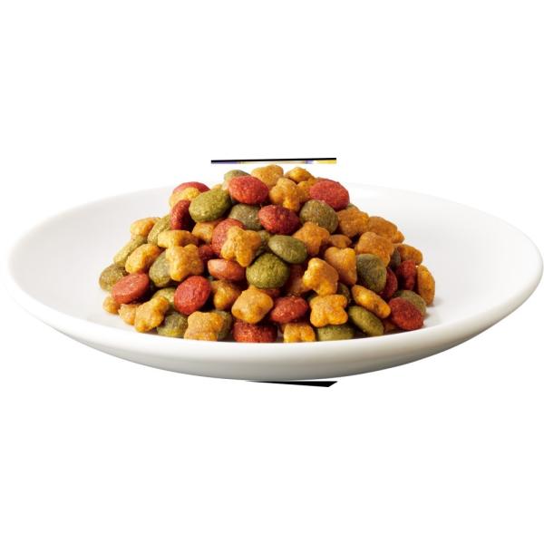 猫ドライフード 0303 シーバ ディライト 素材のうま味レシピ 下部尿路ケア 640g×12袋（7.68kg）_1
