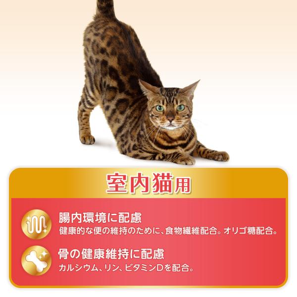 猫ドライフード 8940 ユニ・チャーム オールウェル 食事の吐き戻し軽減 室内猫用 チキン味 800g×9袋（7.2kg）_2