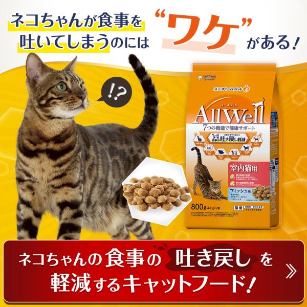 猫ドライフード 8940 ユニ・チャーム オールウェル 食事の吐き戻し軽減 室内猫用 チキン味 800g×9袋（7.2kg）_3