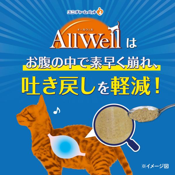 猫ドライフード 8940 ユニ・チャーム オールウェル 食事の吐き戻し軽減 室内猫用 チキン味 800g×9袋（7.2kg）_4