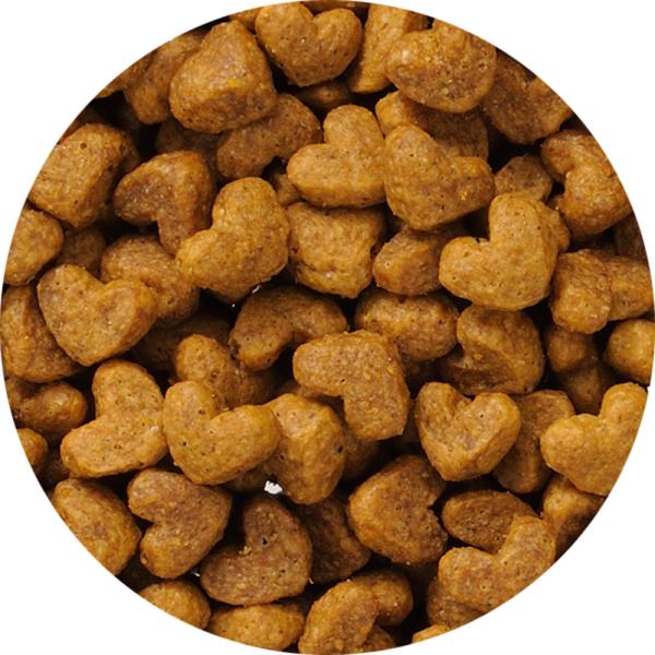 猫ドライフード 2533 日本ペットフード ビューティープロ キャット 子猫用 12ヵ月頃まで 600g×10袋（6kg）_1