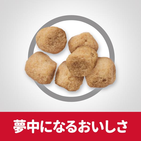 猫用ドライフード 4002 日本ヒルズ サイエンス・ダイエット ライト チキン 肥満傾向の成猫用 2.8kg×4セット(11.2kg)_4