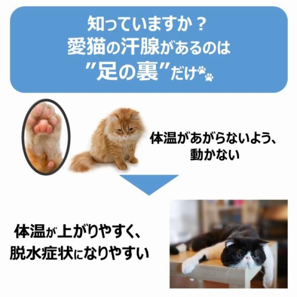 猫用スナック 2100 アース・ペット 株式会社EBC ペットスエットゼリー 愛猫用 ７本×48セット(336個)_1