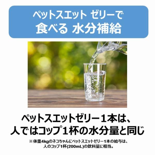猫用スナック 2100 アース・ペット 株式会社EBC ペットスエットゼリー 愛猫用 ７本×48セット(336個)_4