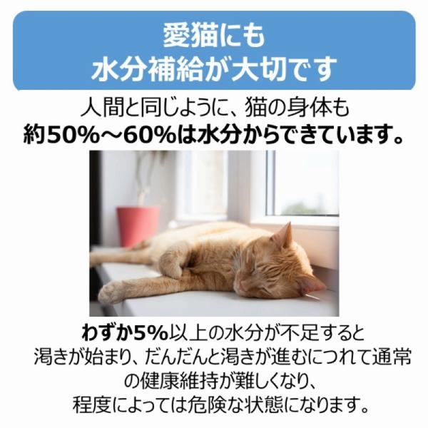 猫用スナック 2100 アース・ペット 株式会社EBC ペットスエットゼリー 愛猫用 ７本×48セット(336個)_6