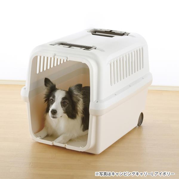 犬猫用キャリー 9280 リッチェル キャンピングキャリー XL アイボリー_1