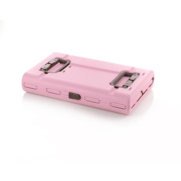 リッチェル キャンピングキャリー L ライトピンク リッチェル