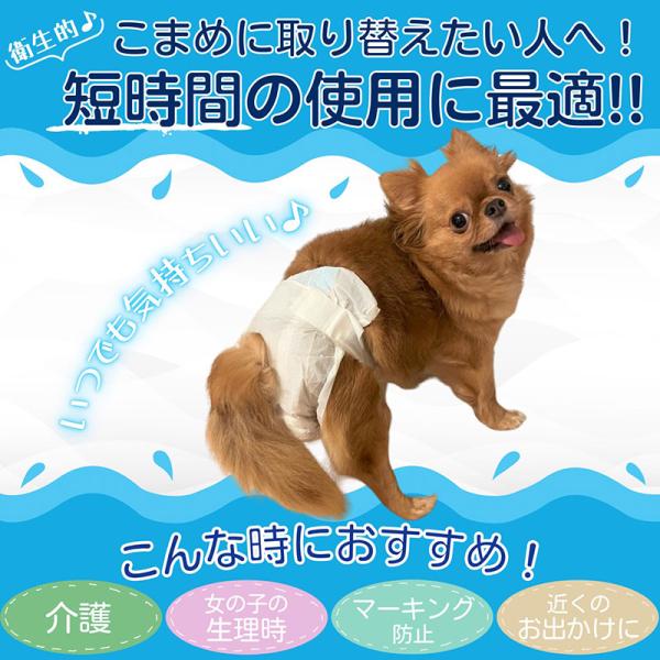 犬猫用マナーパンツ 4301 ペットプロジャパン ペット用紙おむつ M お試し用 2枚×30セット(60枚)_4