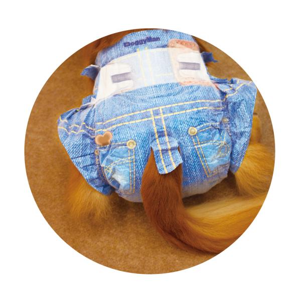 犬猫用マナーパンツ 0628 ドギーマンハヤシ ジーンズ風パンツ 3S 18枚×8セット(144枚)
