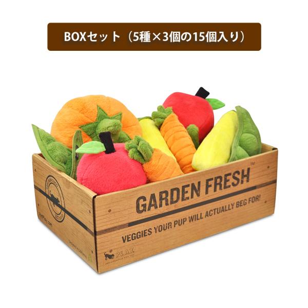 プレイ おもちゃ ガーデンフレッシュ BOXセット（15個入り） 犬 玩具 おもちゃ 音が鳴る おしゃれ 人気 おすすめ ストレス発散 噛む デンタル_1