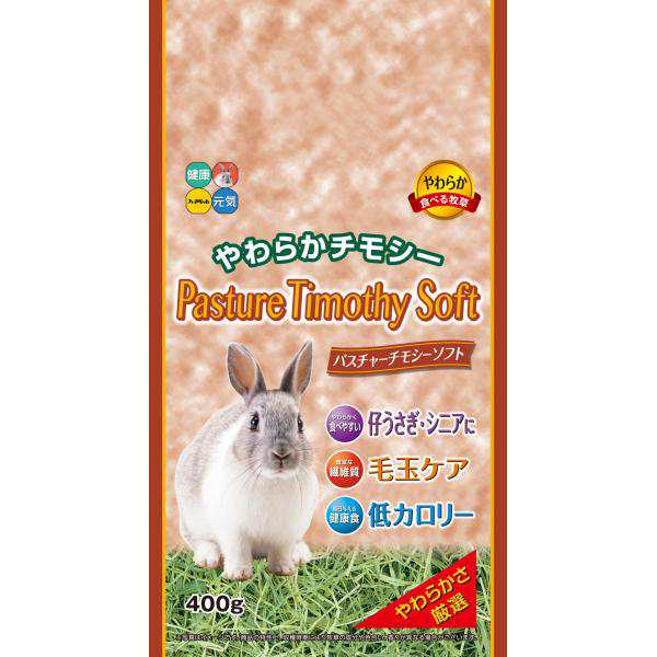 ウサギ用フード 0199 ハイペット パスチャーチモシーソフト 400g×12セット（4.8kg）の通販は