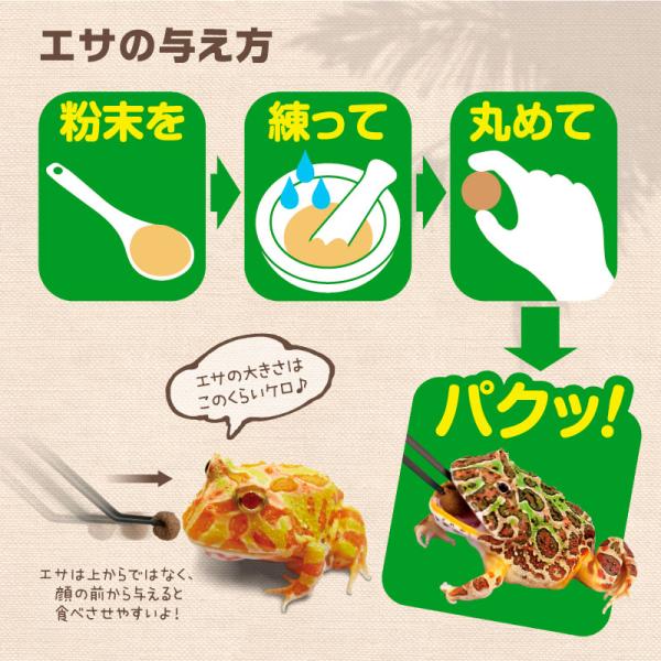 爬虫類・両生類フード 0258 スドー フロッグステープルフード 150g×18セット（2.7kg）_2