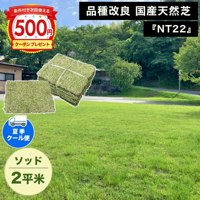 [クール便出荷] NITTOSEKKO 高級天然芝 NT22 ソッド 2平米分 天然芝 省管理 高麗芝 改良高麗芝 芝生 芝 品種改良 国産