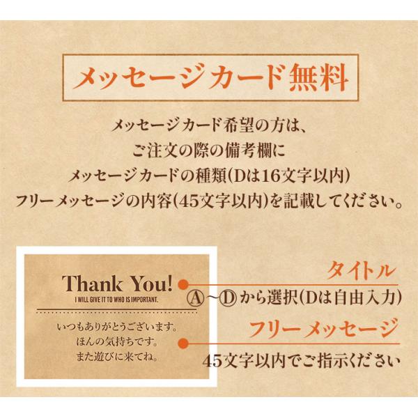 A5-A4　藤彩牛 サーロインステーキ 600g（200g×3枚）　3人前　加熱用　送料無料　お取り寄せ　霜降り　ブランド牛　黒毛和牛　国産　贈答　ギフト　熊本_6