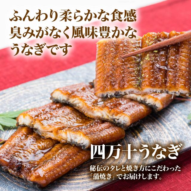 ハマヤ 龍馬タタキ2節+四万十うなぎ2尾セット_8