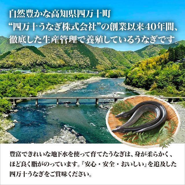 ハマヤ 龍馬タタキ2節+四万十うなぎ2尾セット_9