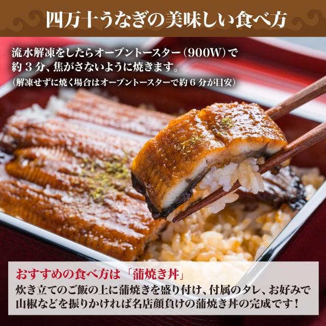 ハマヤ 龍馬タタキ2節+四万十うなぎ2尾セット_10