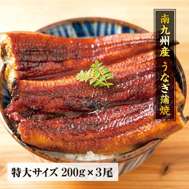 南九州産うなぎ　長焼き200g　3尾　【自宅用】　※食べ方説明書、タレ＆山椒付き