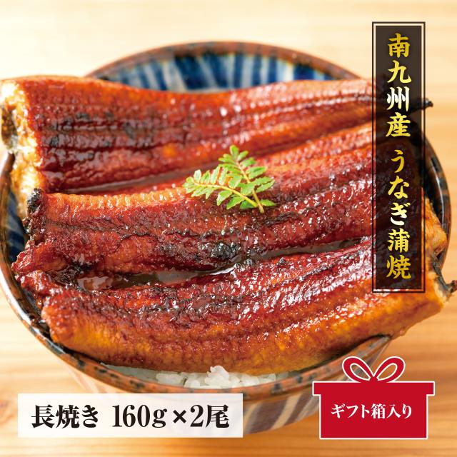 南九州産うなぎ　長焼き160g　2尾　ギフト用　※食べ方説明書、タレ＆山椒付きの通販は