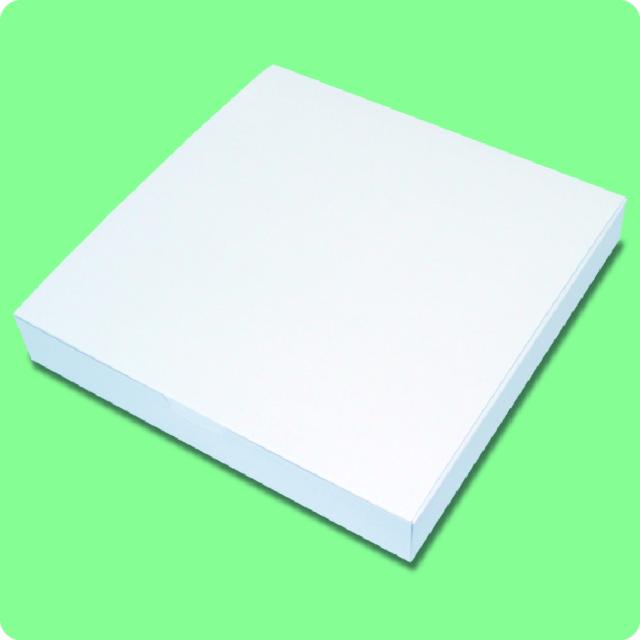 お好み焼き ・ ピザ 用 テイクアウト 紙容器 ・ 紙箱 PH-M 無地 150ヶ入 13,134円