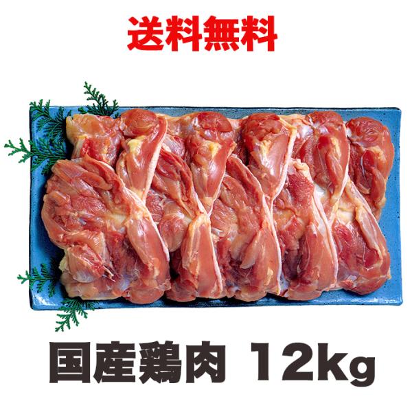国産鶏肉 鶏もも肉 12kg 冷蔵の通販は