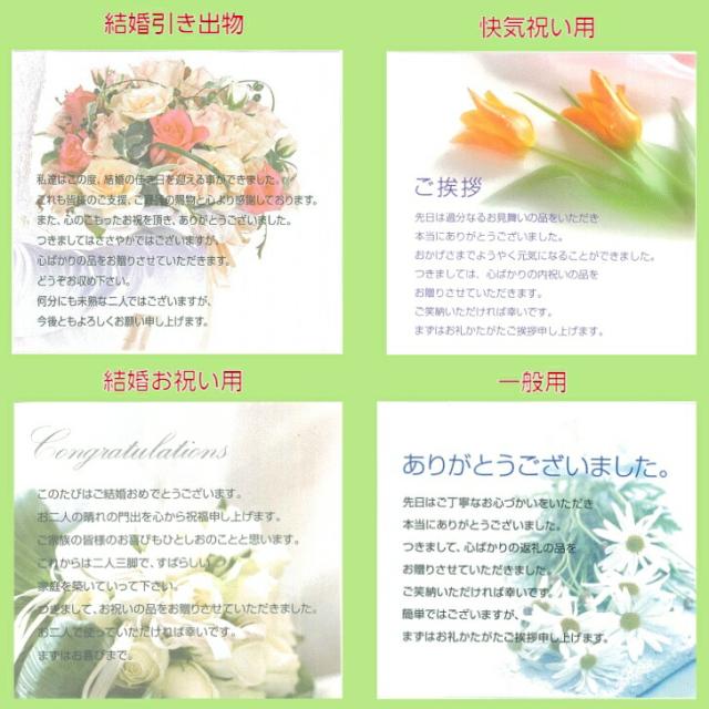 小物収納 オーバーナイター SE5-183-3 内祝 結婚祝い 香典返し  プレゼント 成人式 お誕生日