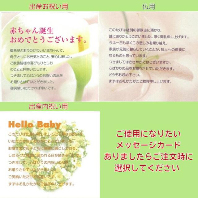 小物収納 オーバーナイター SE5-183-3 内祝 結婚祝い 香典返し  プレゼント 成人式 お誕生日