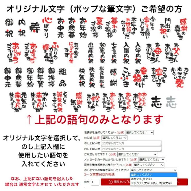 小物収納 オーバーナイター SE5-183-3 内祝 結婚祝い 香典返し  プレゼント 成人式 お誕生日