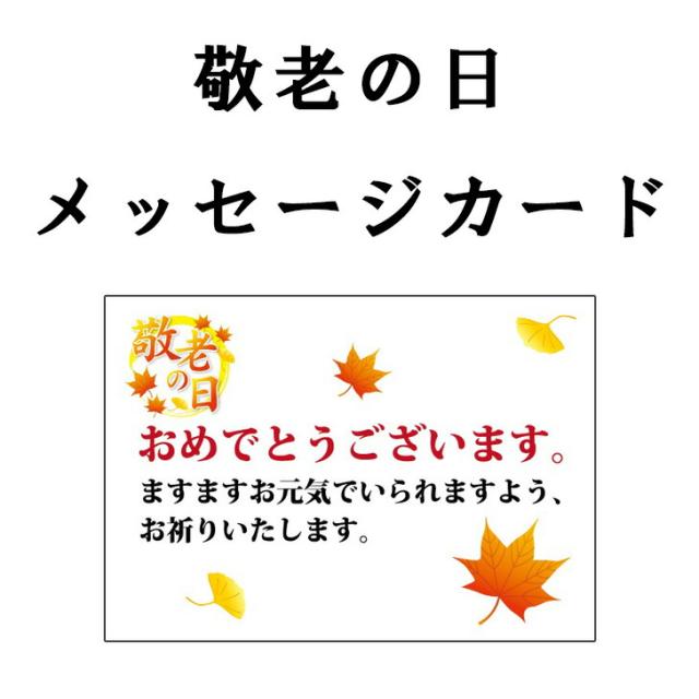 やわらかあったか毛布2P　AM4-163-6　人気商品 内祝 結婚祝い お歳暮 父の日 香典返し 敬老の日 七五三 孫 両親 自宅  の通販は