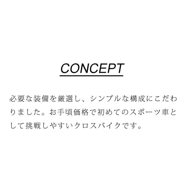 ((ポイント7％★6/3-7))フィッツ 700C 外装6段変速 FIT7006-460 / ダイワサイクル スポーツバイク クロスバイク_4