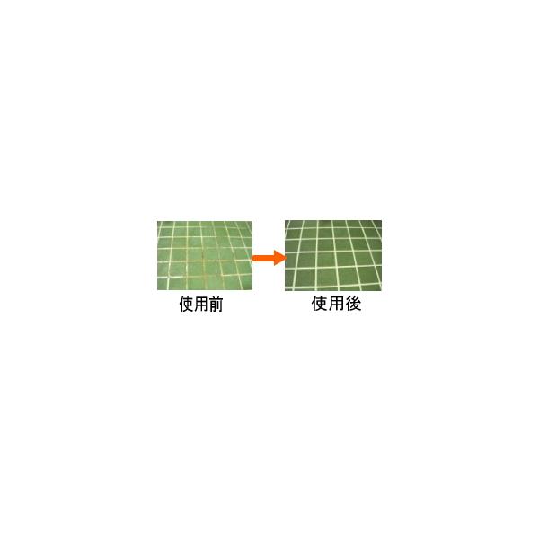 除菌・洗浄バスクリーナー 18kg（国際科学工業）_1