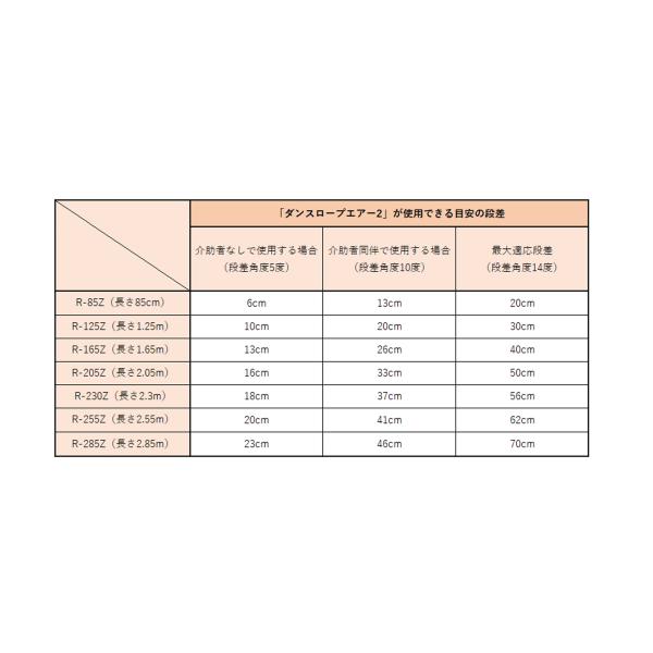 ダンスロープエアー2 長さ125cm／R-125Z 解消段差10〜30cm（ダンロップホームプロダクツ）05571 車いす用可搬型スロープ_3